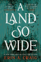 book cover for A Land So Wide