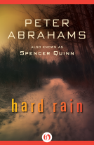 book cover for Hard Rain