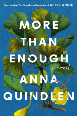 book cover for More Than Enough