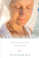 book cover for Original Light
