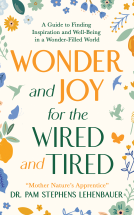 book cover for Wonder and Joy for the Wired and Tired