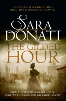 book cover for The Gilded Hour