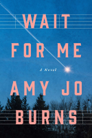book cover for Wait for Me