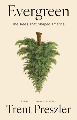 book cover for Evergreen