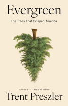book cover for Evergreen