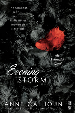 book cover for Evening Storm