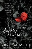 book cover for Evening Storm