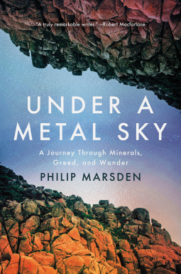 book cover for Under a Metal Sky