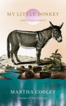 book cover for My Little Donkey