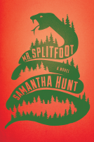 book cover for Mr. Splitfoot