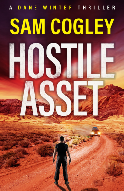 book cover for Hostile Asset