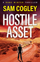 book cover for Hostile Asset