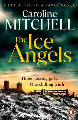book cover for The Ice Angels
