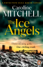 Cover Image: The Ice Angels