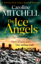 book cover for The Ice Angels