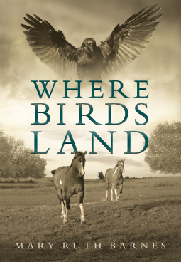 book cover for Where Birds Land