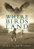 book cover for Where Birds Land