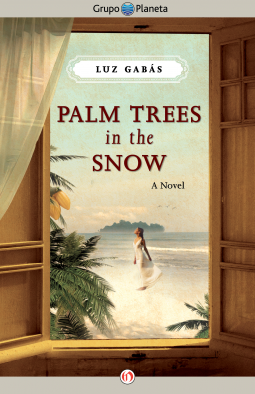 book cover for Palm Trees in the Snow