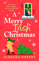 book cover for A Merry Irish Christmas
