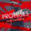 book cover for Promises