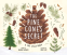 Cover Image: The Pine Cone's Secret