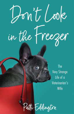 book cover for Don't Look in the Freezer