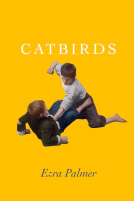 book cover for Catbirds