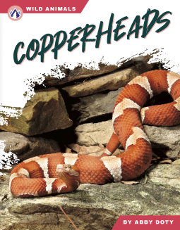 book cover for Copperheads