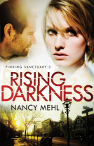 book cover for Rising Darkness