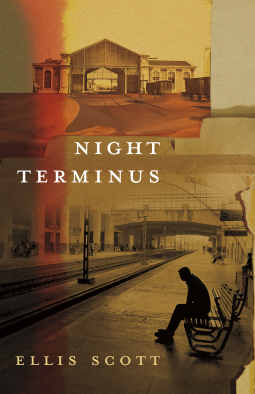 book cover for Night Terminus