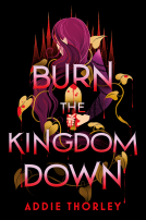 book cover for Burn the Kingdom Down