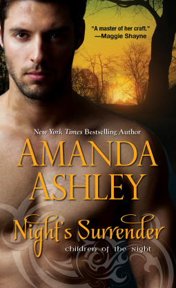 book cover for Night's Surrender