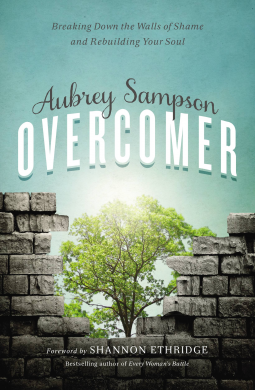 book cover for Overcomer
