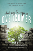 book cover for Overcomer