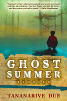 book cover for Ghost Summer: Stories