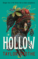 book cover for Hollow