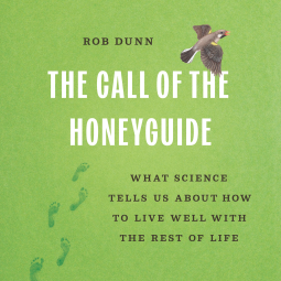 book cover for The Call of the Honeyguide
