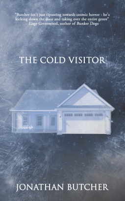 book cover for The Cold Visitor