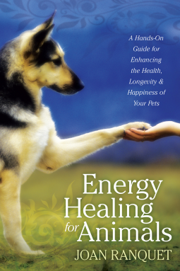 book cover for Energy Healing for Animals