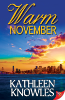 book cover for Warm November
