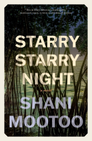 book cover for Starry Starry Night