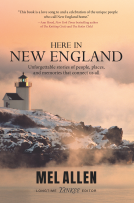 book cover for Here in New England