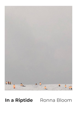 book cover for In a Riptide