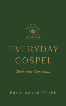 book cover for Everyday Gospel Christmas Devotional