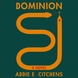 book cover for Dominion