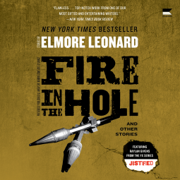 book cover for Fire in the Hole