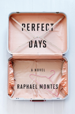 book cover for Perfect Days