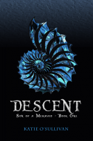 book cover for Descent