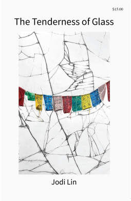 book cover for The Tenderness of Glass