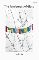 book cover for The Tenderness of Glass
